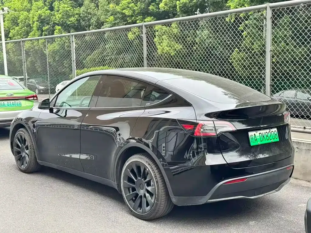 Tesla Model Y — фото 6