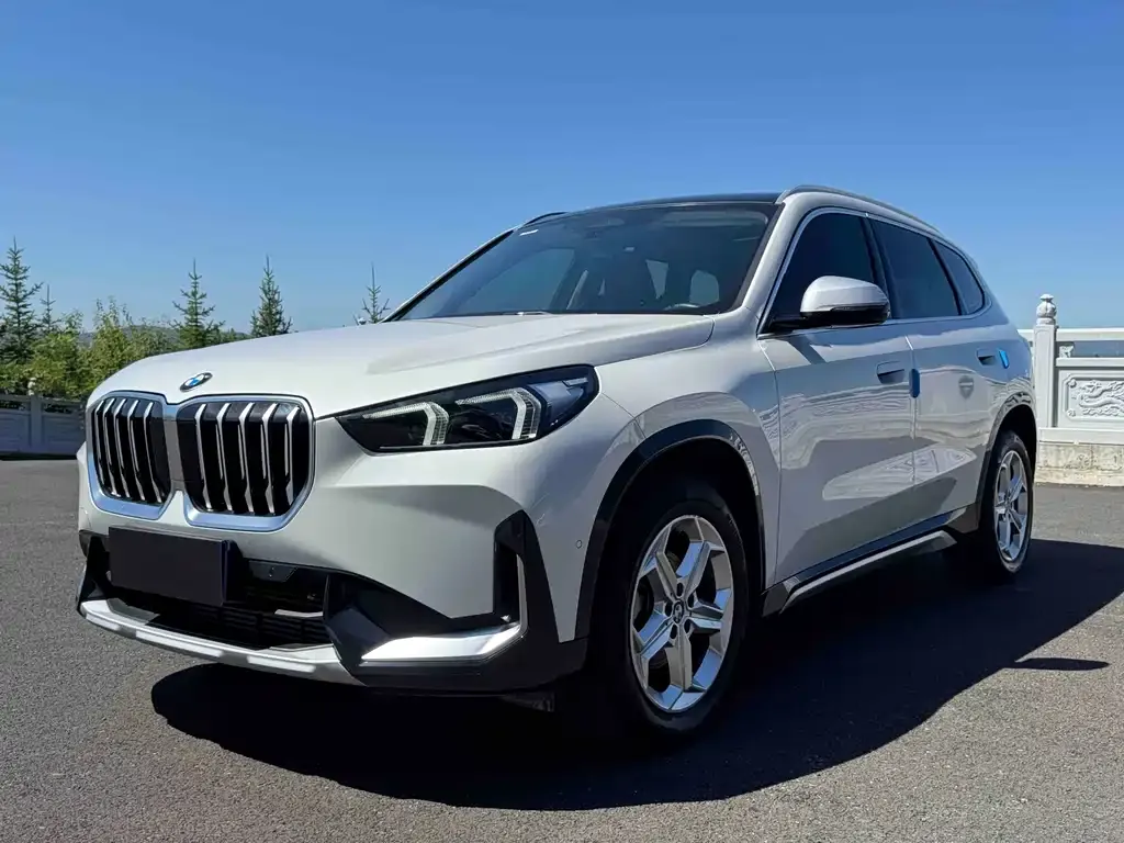 BMW X1 — фото 1