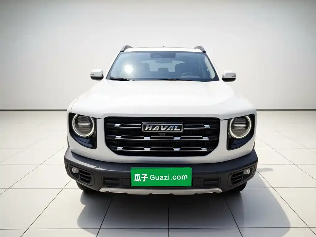 Haval Big Dog — фото 8