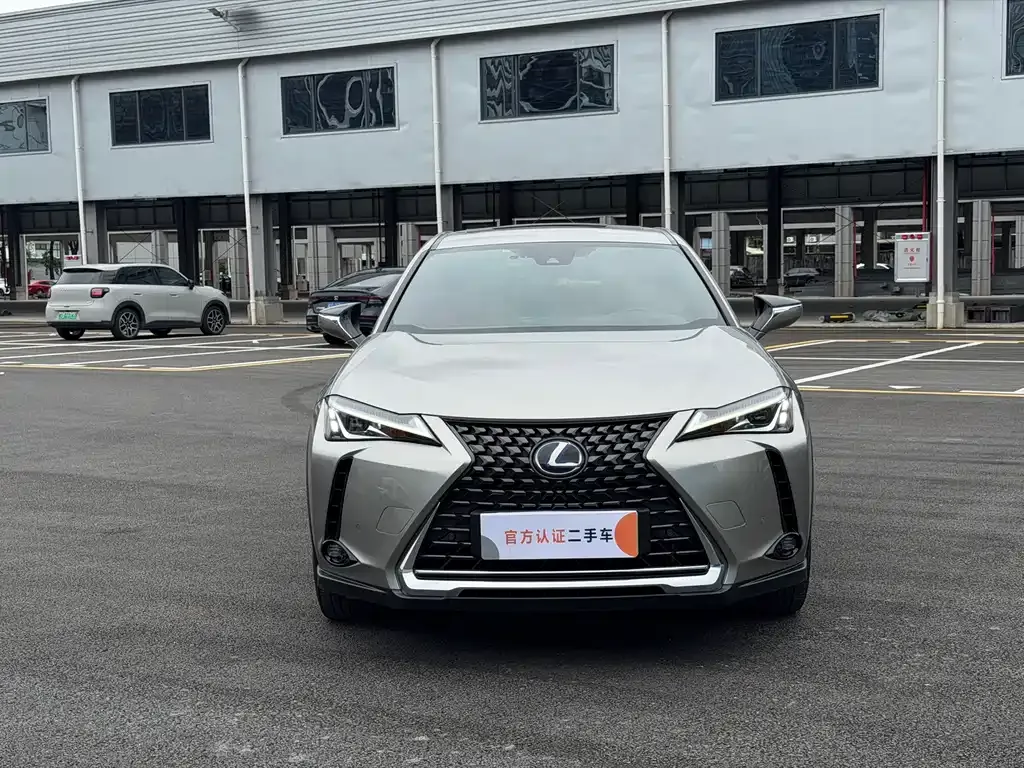 Lexus UX New Energy — фото 7