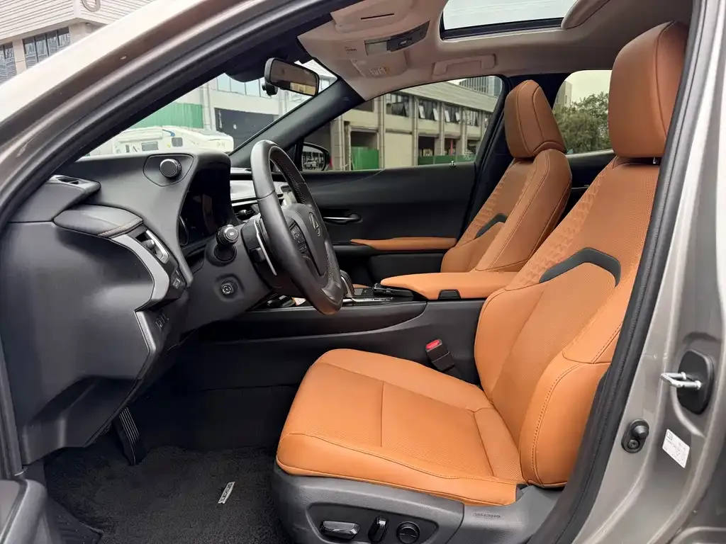 Lexus UX New Energy — фото 6