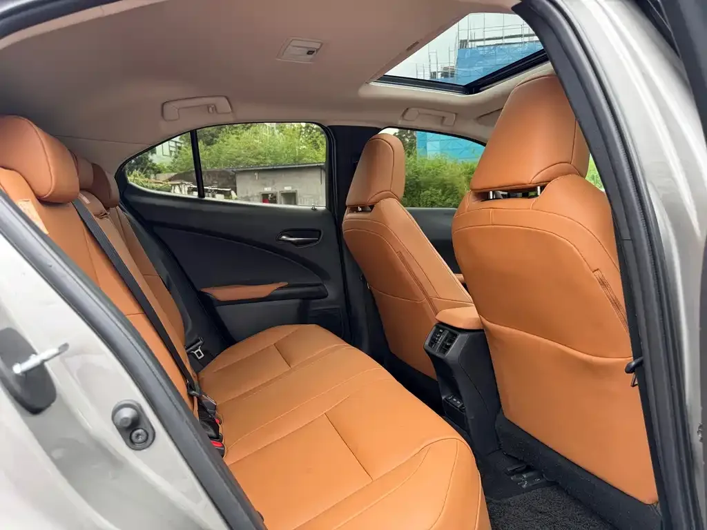Lexus UX New Energy — фото 4