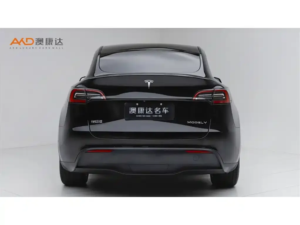 Tesla Model Y — фото 8