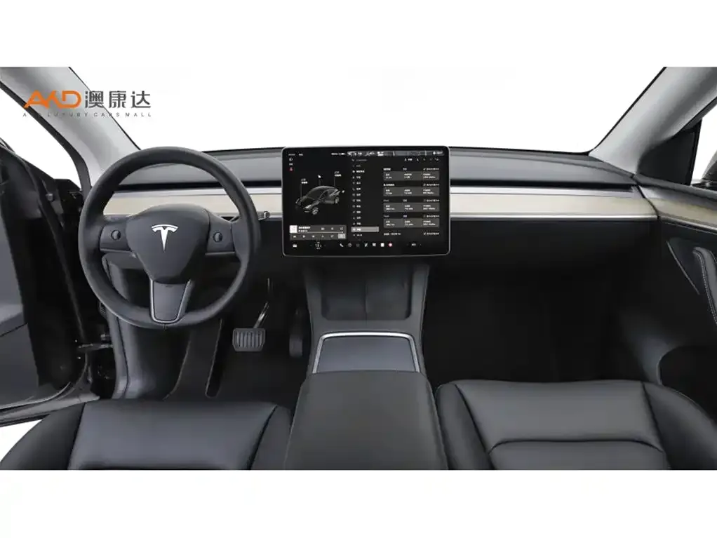 Tesla Model Y — фото 9