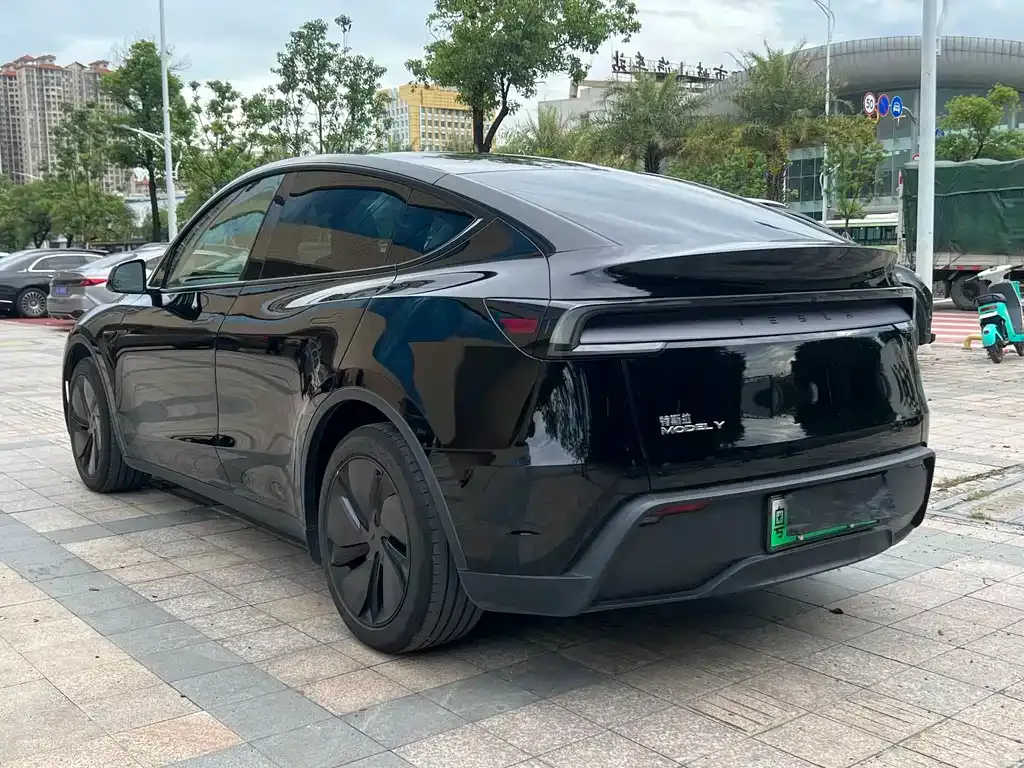 Tesla Model Y — фото 6