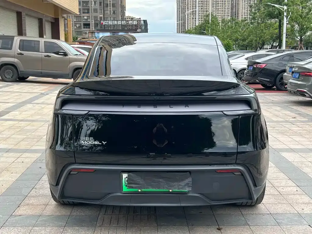 Tesla Model Y — фото 2