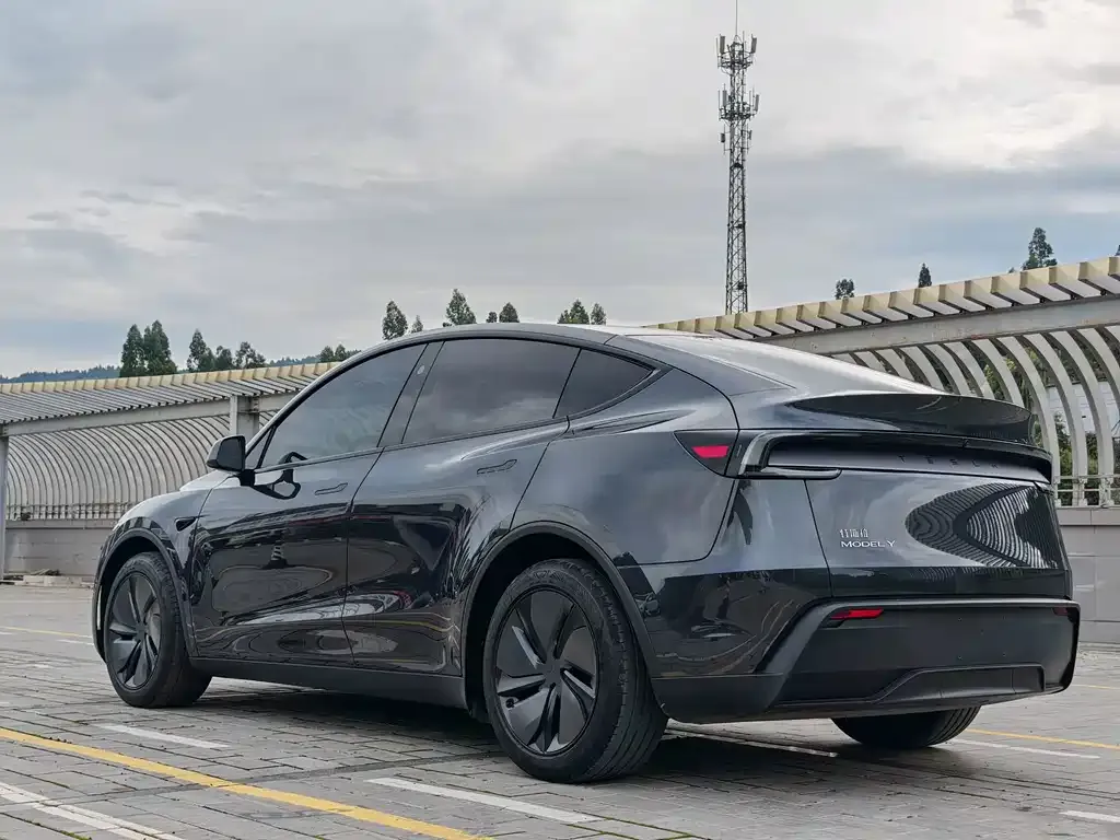 Tesla Model Y — фото 10