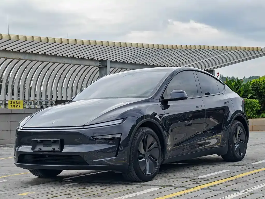 Tesla Model Y — фото 5