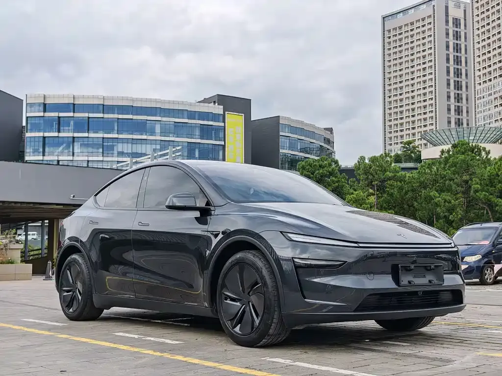 Tesla Model Y — фото 6