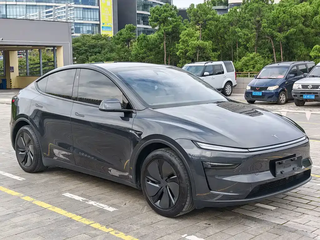 Tesla Model Y — фото 8