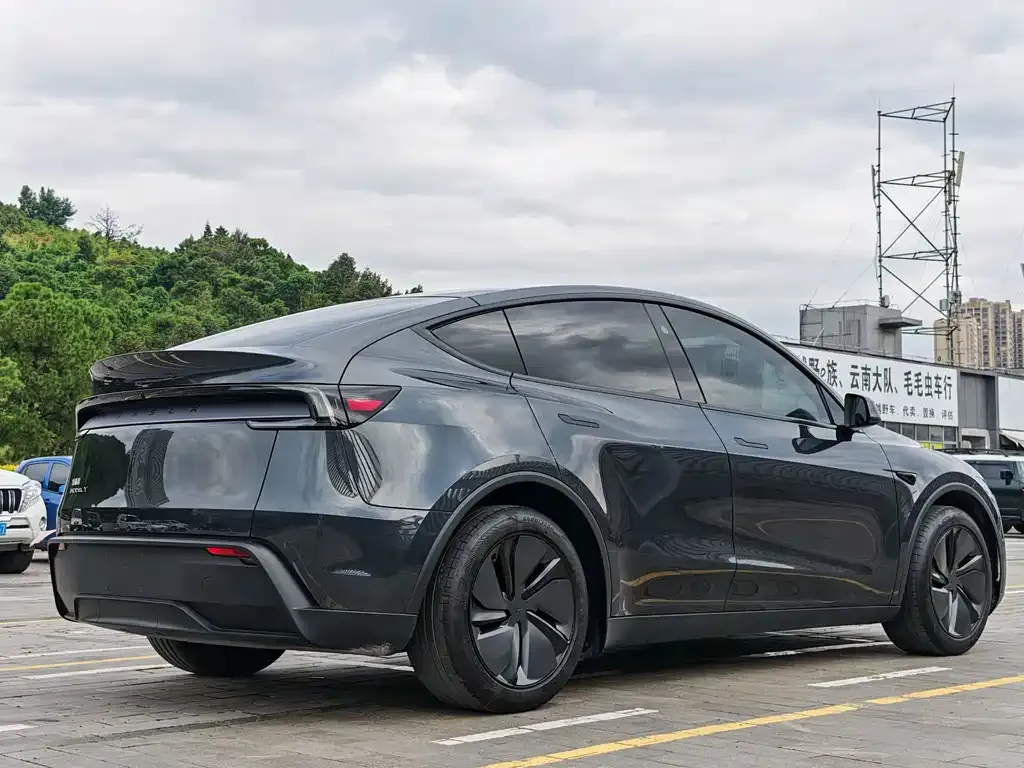 Tesla Model Y — фото 7