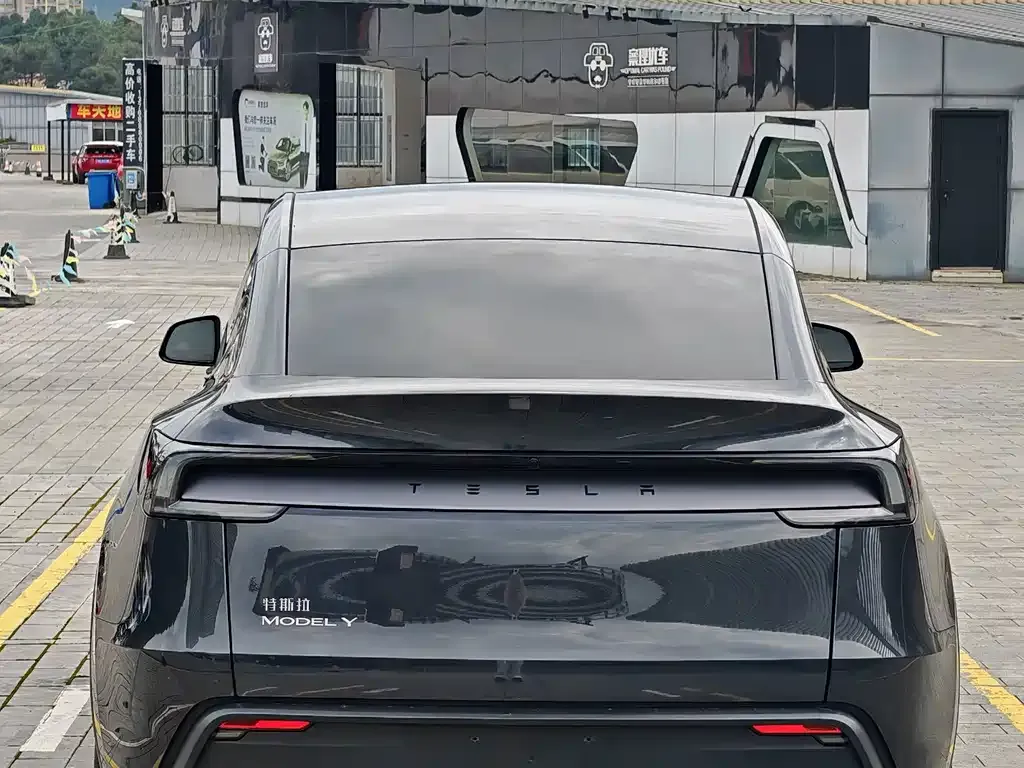 Tesla Model Y — фото 9