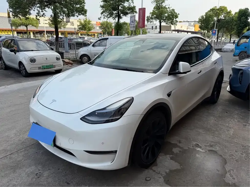 Tesla Model Y — фото 1