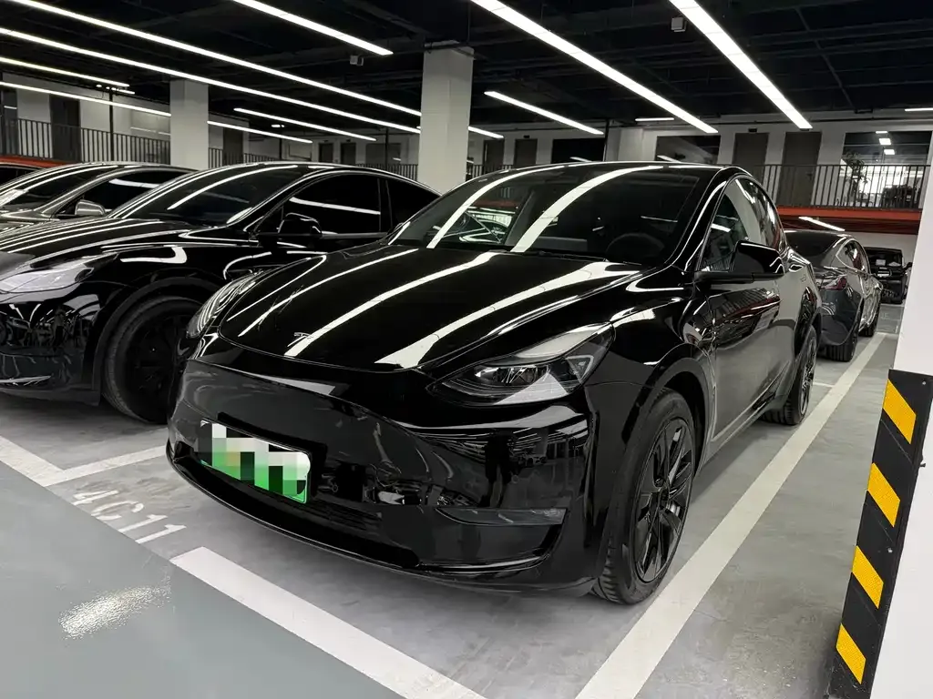 Tesla Model Y — фото 1