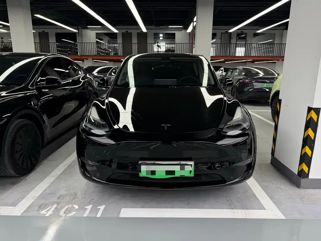 Tesla Model Y — фото 5