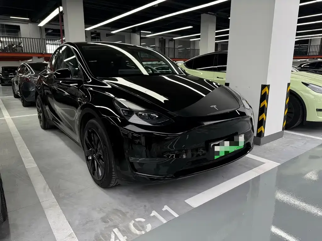 Tesla Model Y — фото 10