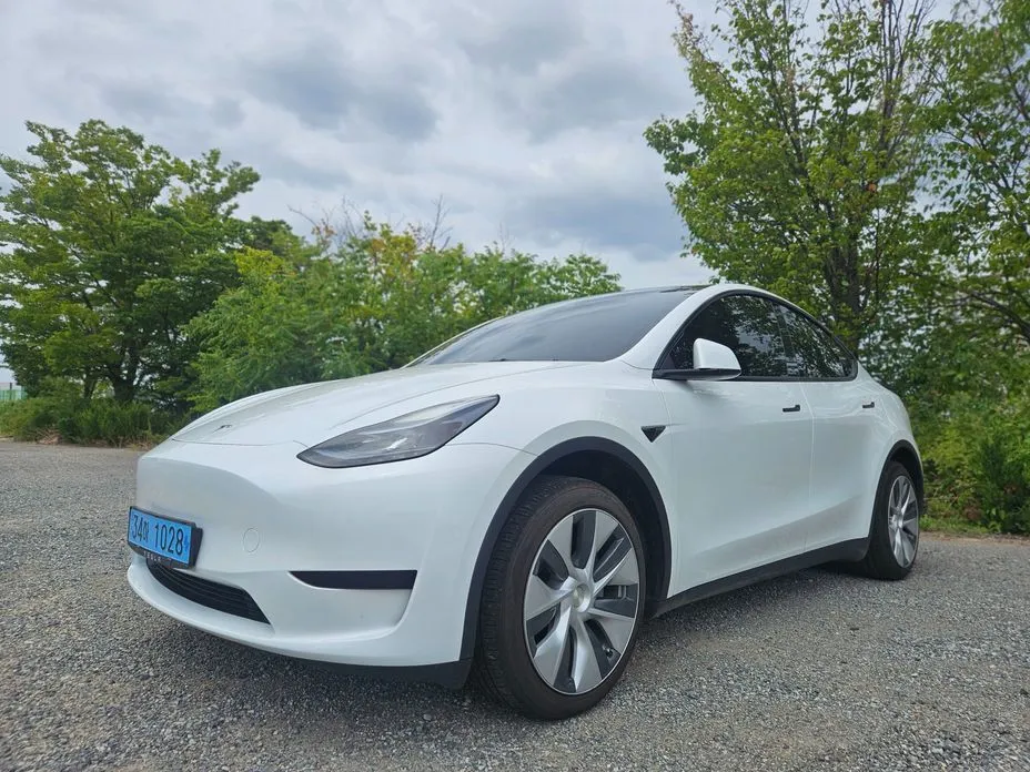 Tesla Model Y — фото 1