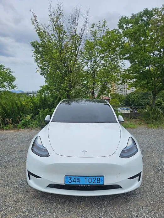 Tesla Model Y — фото 9