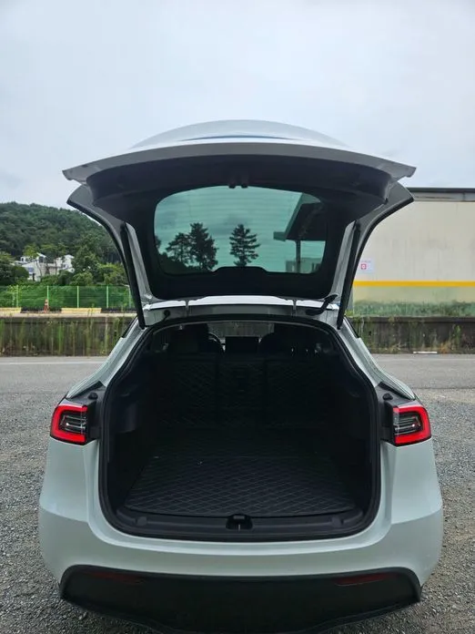 Tesla Model Y — фото 8