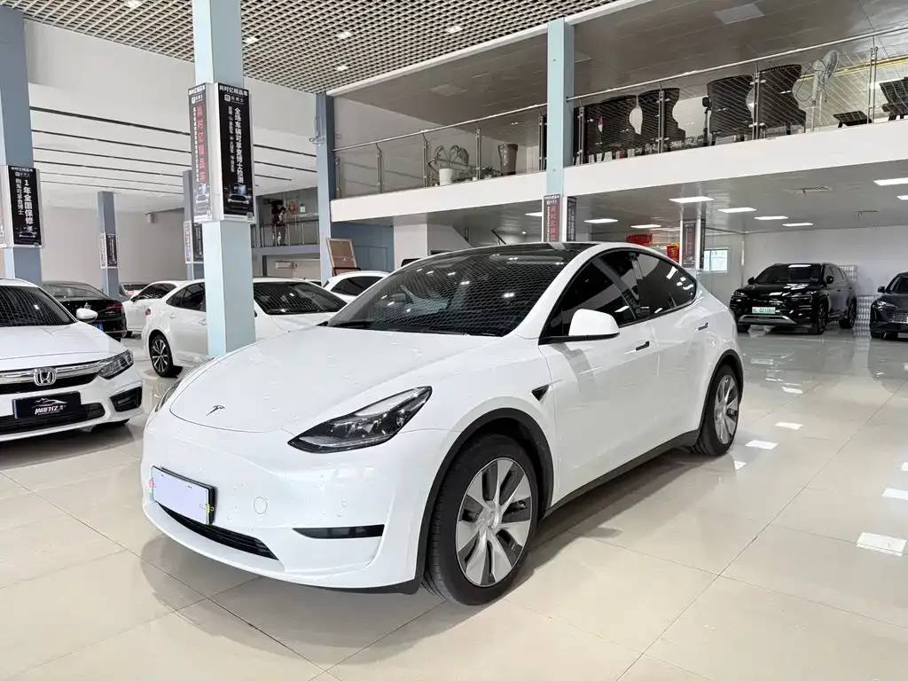 Tesla Model Y — фото 1