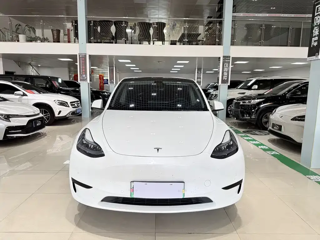 Tesla Model Y — фото 3