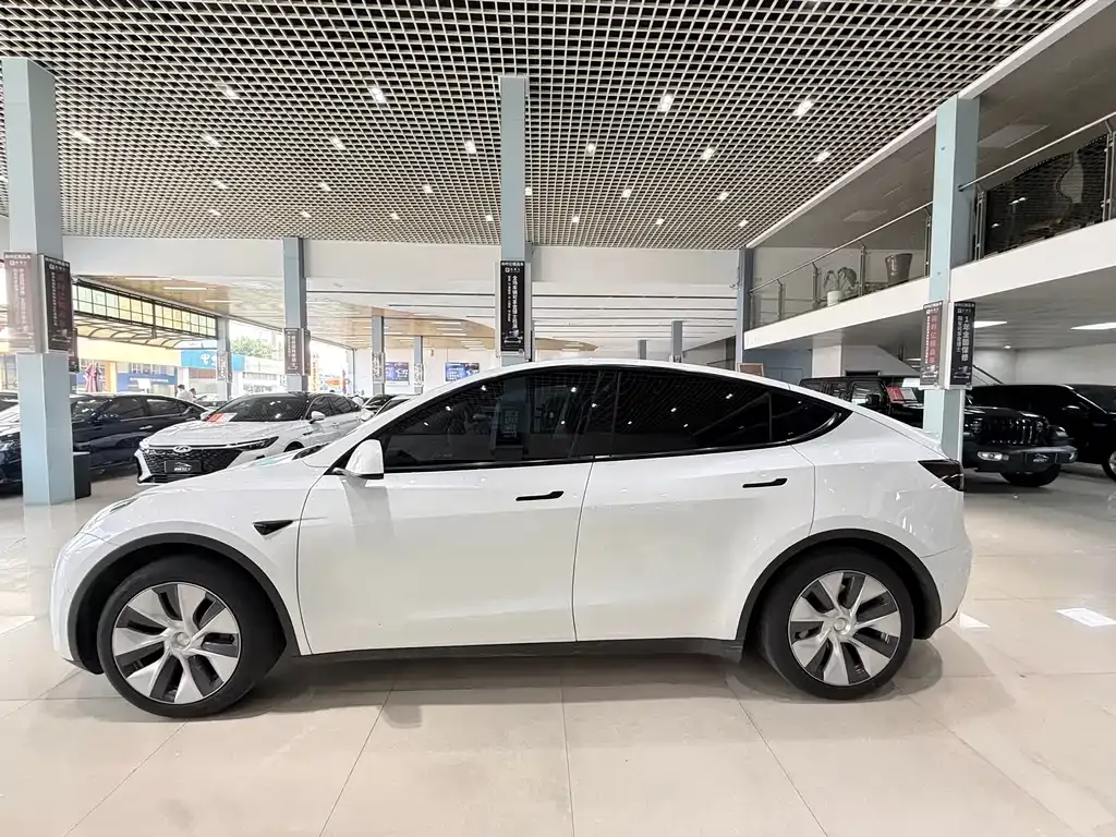 Tesla Model Y — фото 6