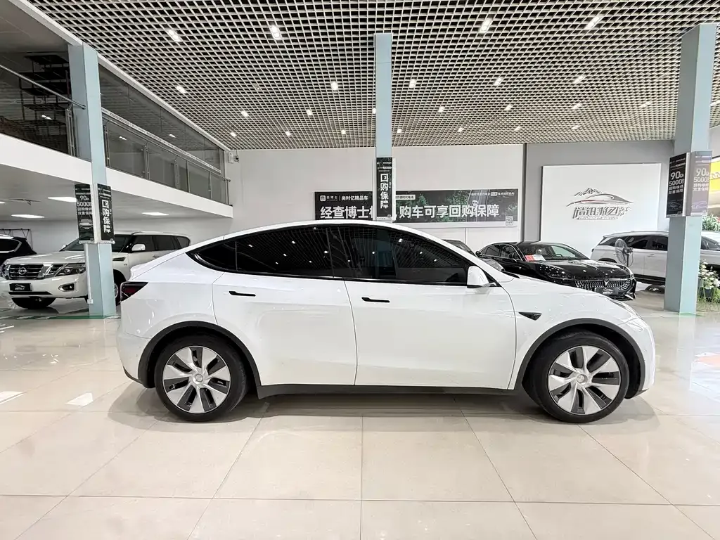 Tesla Model Y — фото 10
