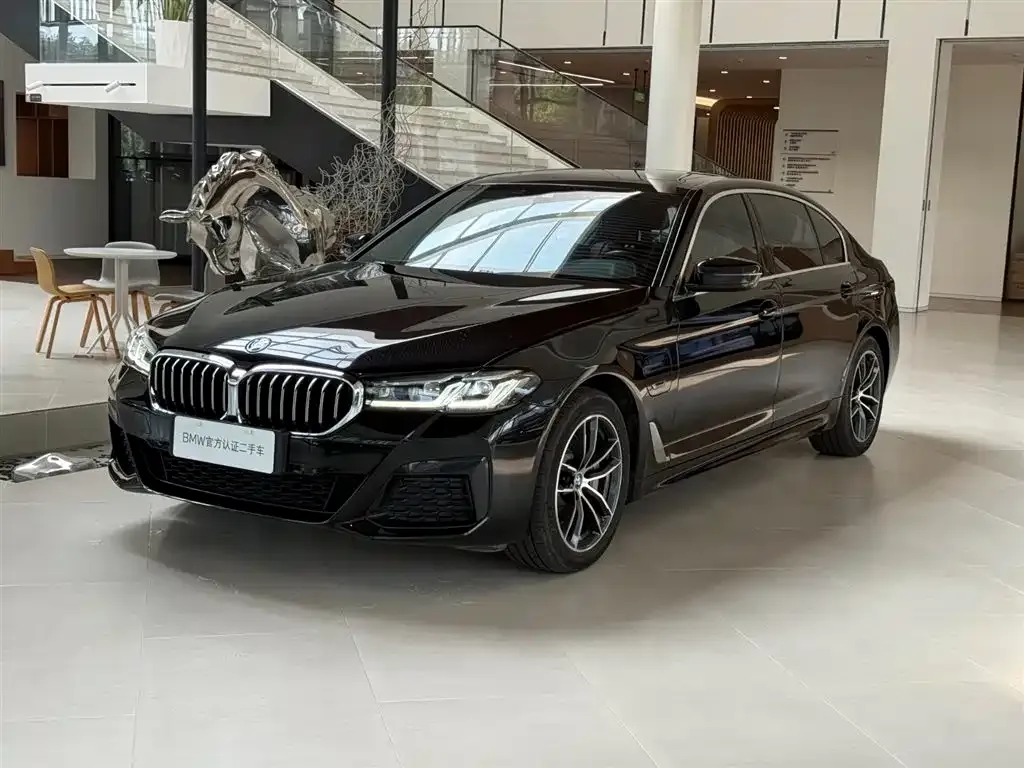BMW 5 Series New Energy — фото 1