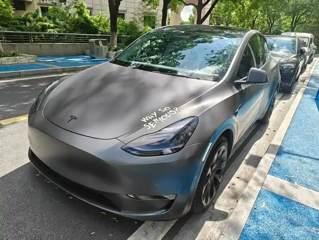Tesla Model Y — фото 1