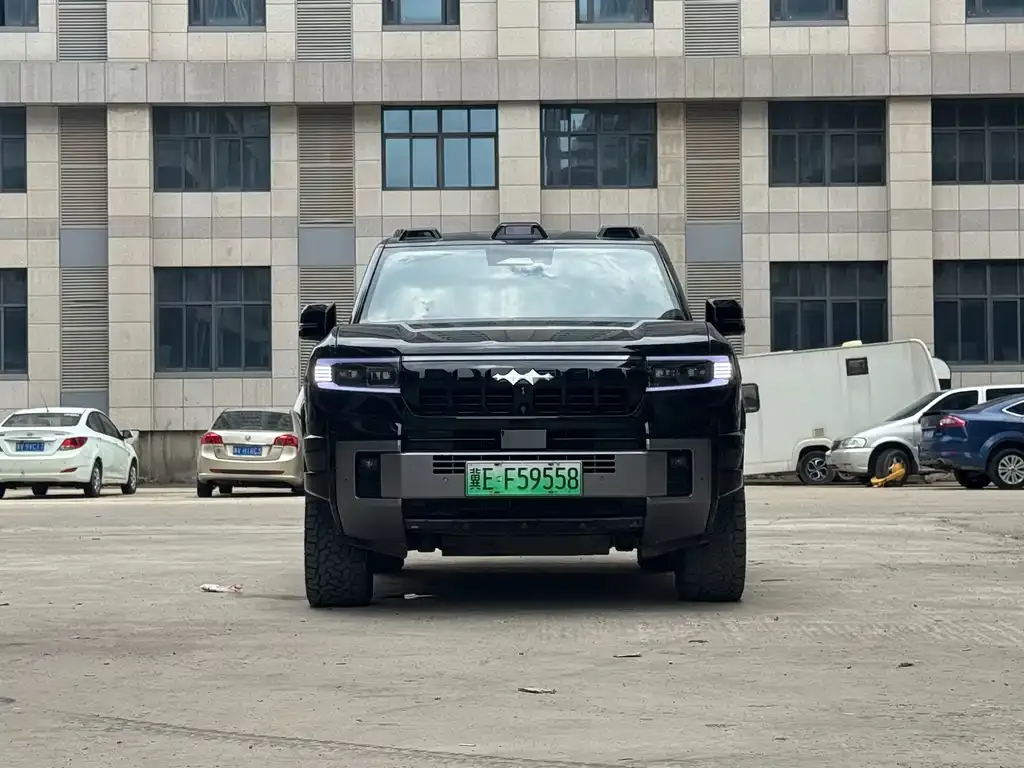 Fang Cheng Bao Leopard 8 — фото 6