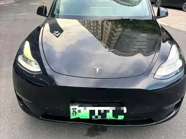 Tesla Model Y — фото 3