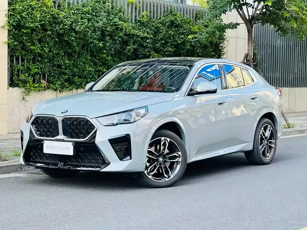 BMW X2 (Import) — фото 1