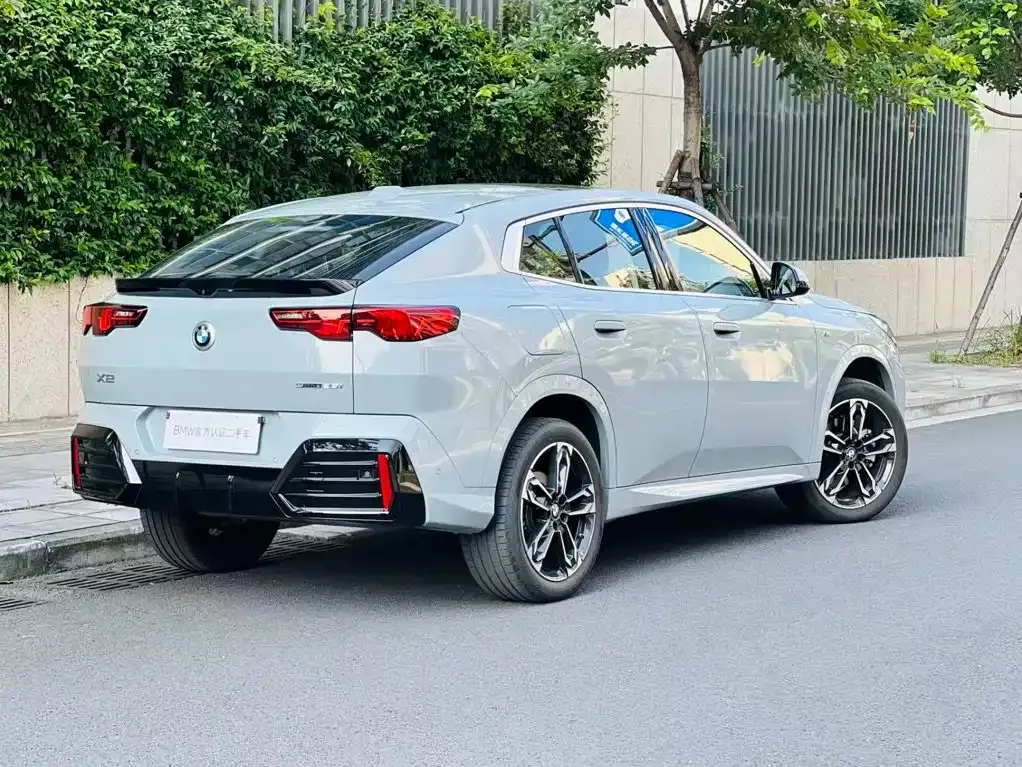 BMW X2 (Import) — фото 6