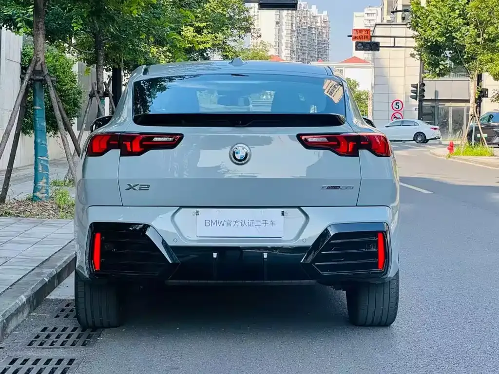 BMW X2 (Import) — фото 10