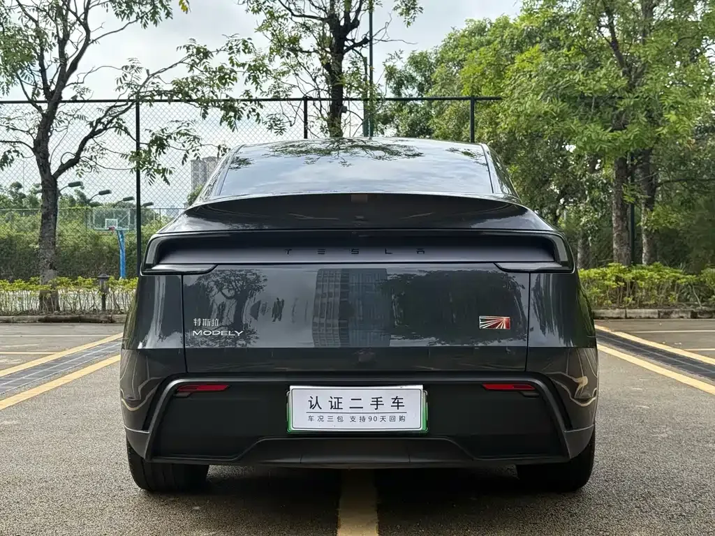 Tesla Model Y — фото 8