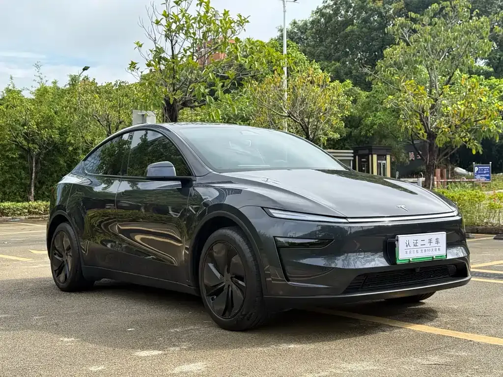 Tesla Model Y — фото 10