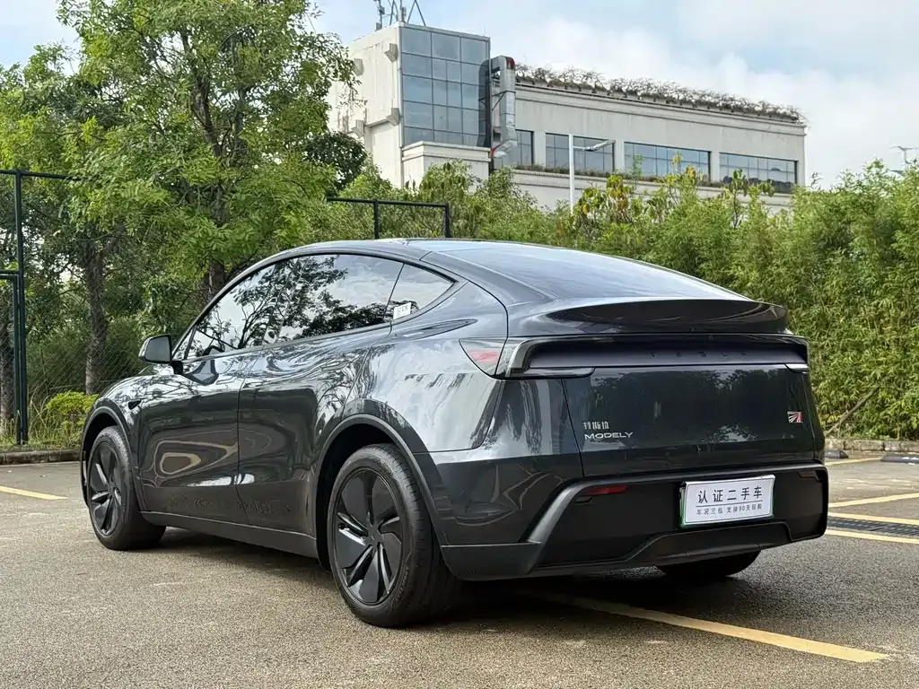 Tesla Model Y — фото 9
