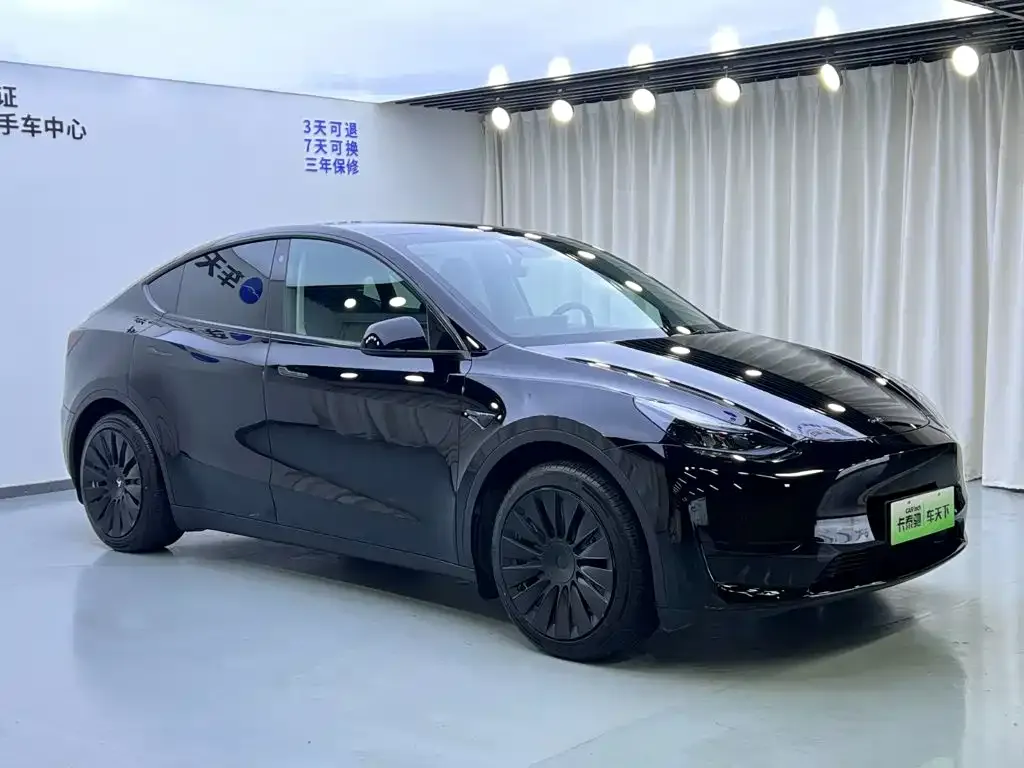 Tesla Model Y — фото 3