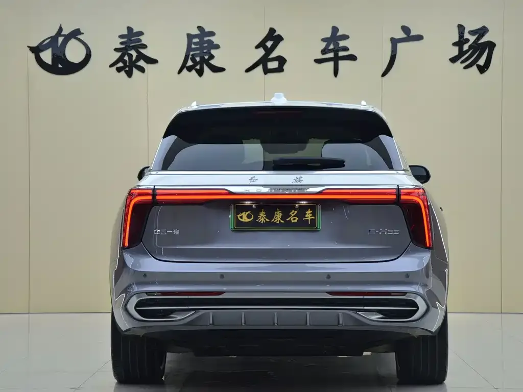 Hongqi E-HS9 — фото 8