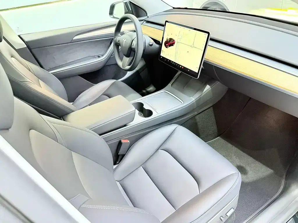 Tesla Model Y — фото 9
