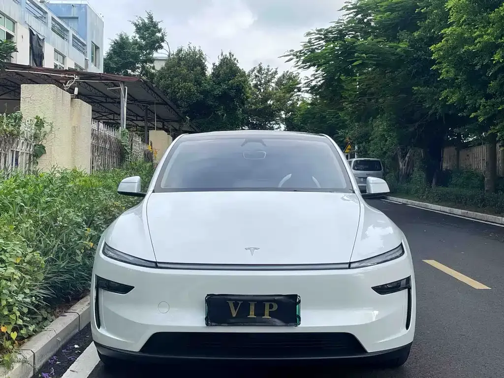 Tesla Model Y — фото 6