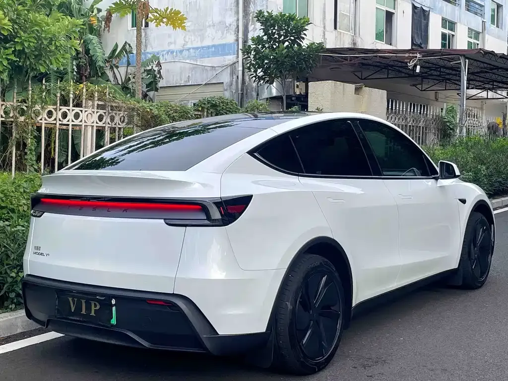 Tesla Model Y — фото 9