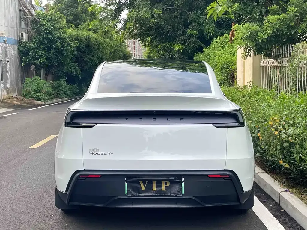 Tesla Model Y — фото 10