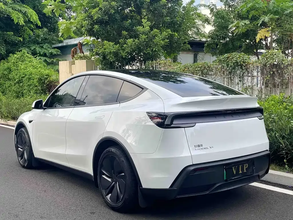 Tesla Model Y — фото 5
