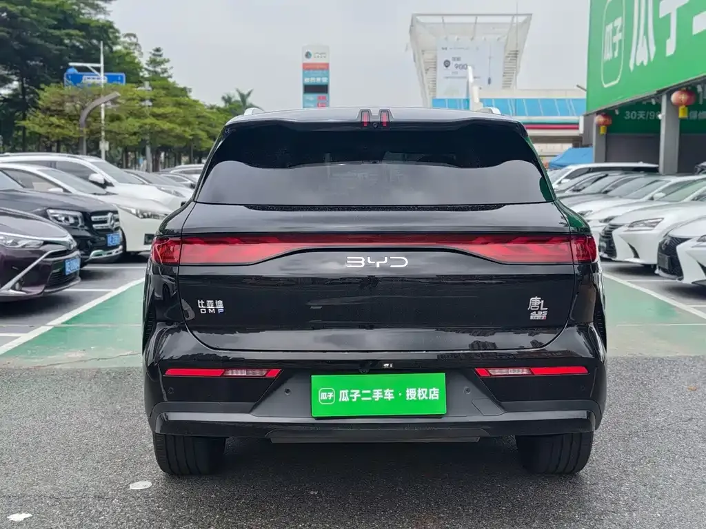 BYD Tang L — фото 3