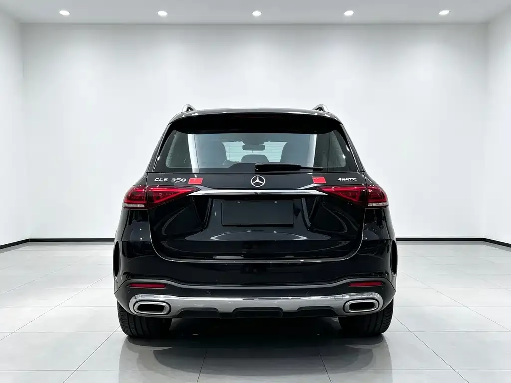 Mercedes-Benz 奔驰GLE(进口) — фото 3