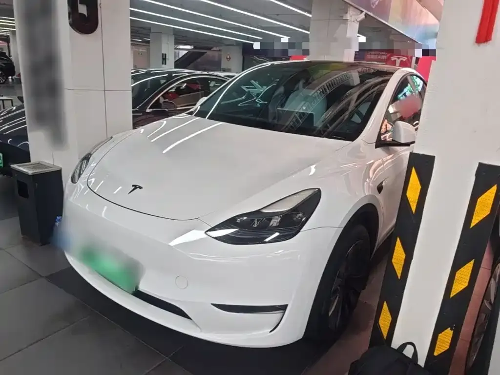 Tesla Model Y — фото 3