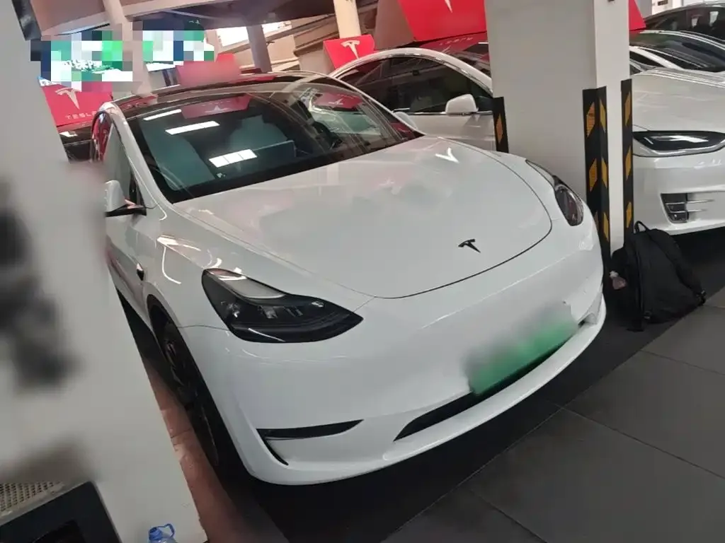 Tesla Model Y — фото 10