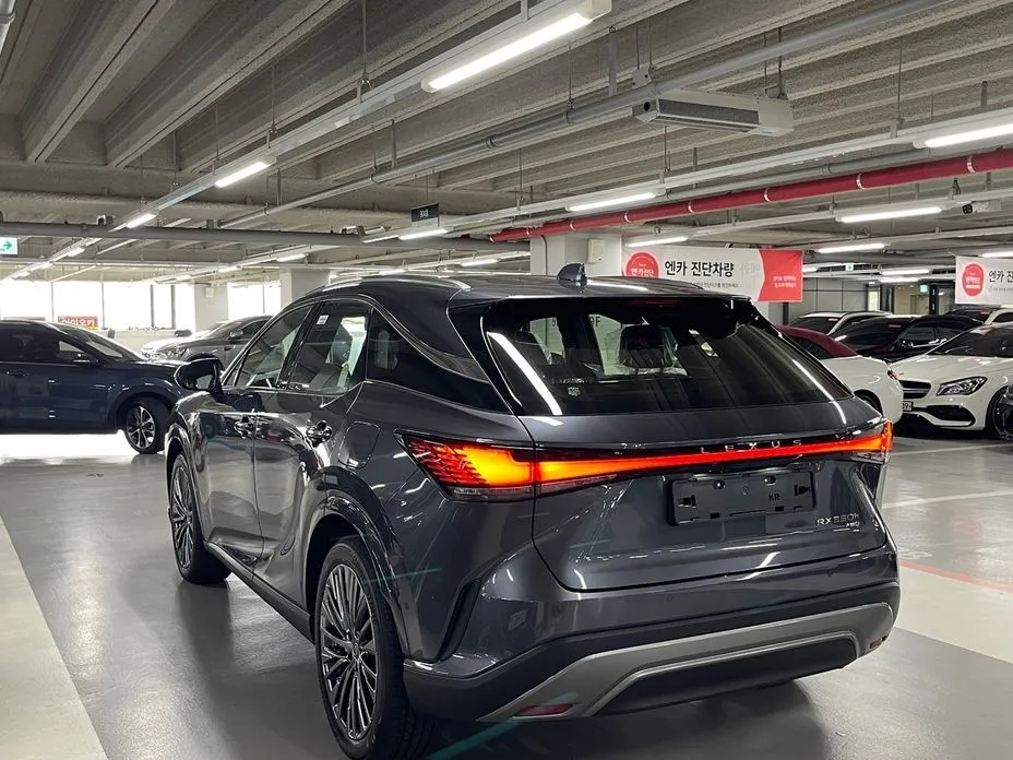 Lexus RX — фото 10