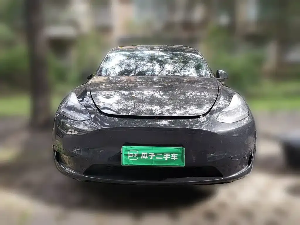 Tesla Model Y — фото 10